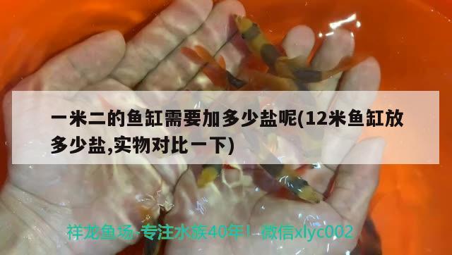 一米二的魚缸需要加多少鹽呢(12米魚缸放多少鹽,實(shí)物對比一下) 眼斑魚