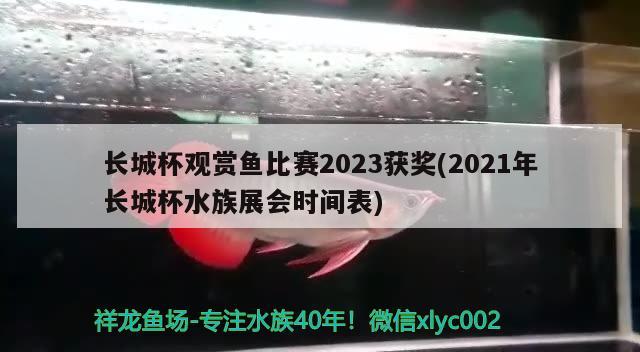 長城杯觀賞魚比賽2023獲獎(2021年長城杯水族展會時間表)