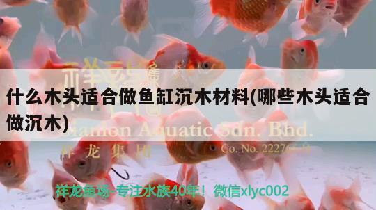 什么木頭適合做魚缸沉木材料(哪些木頭適合做沉木)