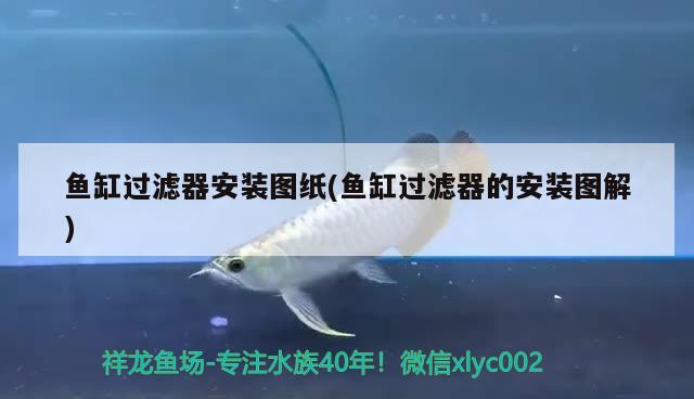 魚缸過濾器安裝圖紙(魚缸過濾器的安裝圖解) 刀魚魚