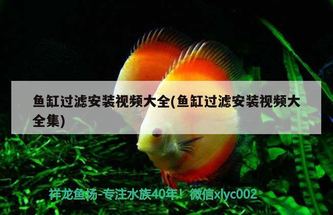 魚缸過濾安裝視頻大全(魚缸過濾安裝視頻大全集)