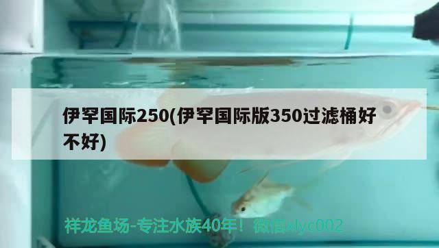 伊罕國際250(伊罕國際版350過濾桶好不好) 伊罕水族