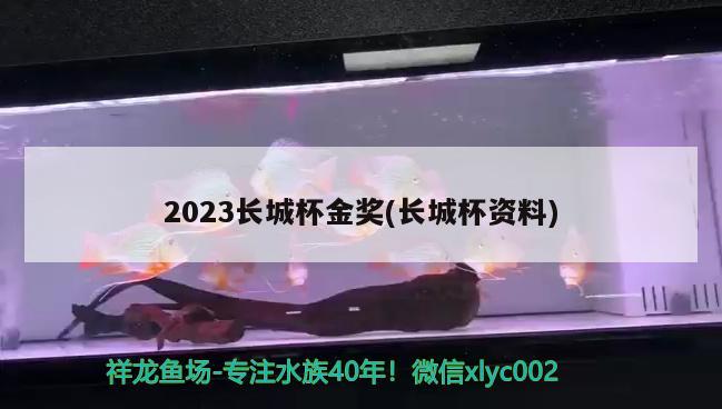 2023長城杯金獎(長城杯資料) 2024第28屆中國國際寵物水族展覽會CIPS（長城寵物展2024 CIPS） 第2張