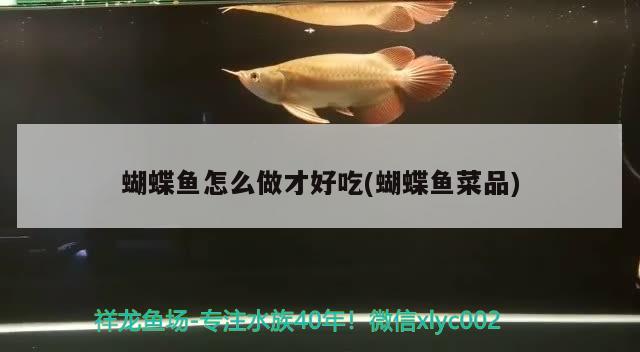 蝴蝶魚怎么做才好吃(蝴蝶魚菜品)