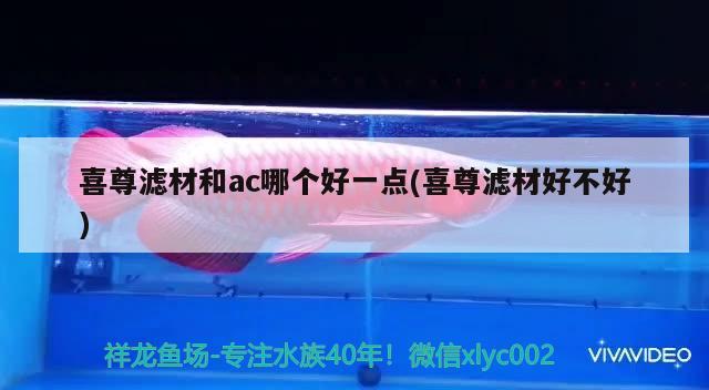 喜尊濾材和ac哪個好一點(喜尊濾材好不好) 2024第28屆中國國際寵物水族展覽會CIPS（長城寵物展2024 CIPS）