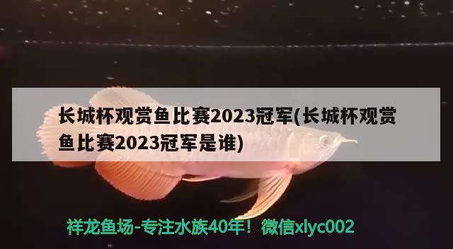 長城杯觀賞魚比賽2023冠軍(長城杯觀賞魚比賽2023冠軍是誰)