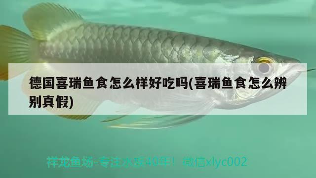 德國喜瑞魚食怎么樣好吃嗎(喜瑞魚食怎么辨別真假) 2024第28屆中國國際寵物水族展覽會CIPS（長城寵物展2024 CIPS） 第2張