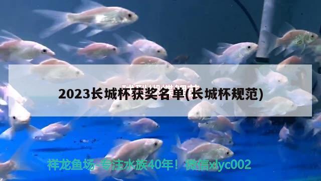 2023長(zhǎng)城杯獲獎(jiǎng)名單(長(zhǎng)城杯規(guī)范)