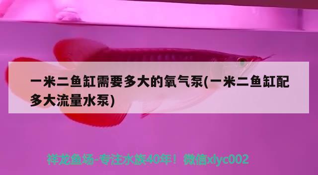 一米二魚缸需要多大的氧氣泵(一米二魚缸配多大流量水泵) 銀龍魚苗