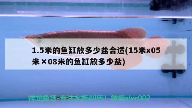 1.5米的魚(yú)缸放多少鹽合適(15米x05米×08米的魚(yú)缸放多少鹽) 稀有紅龍品種