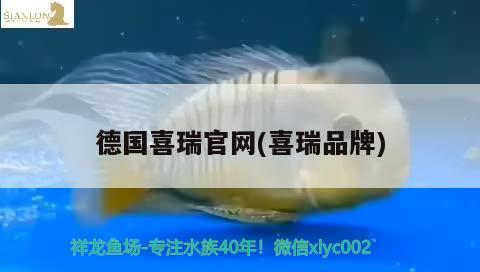 德國(guó)喜瑞官網(wǎng)(喜瑞品牌) 2024第28屆中國(guó)國(guó)際寵物水族展覽會(huì)CIPS（長(zhǎng)城寵物展2024 CIPS）