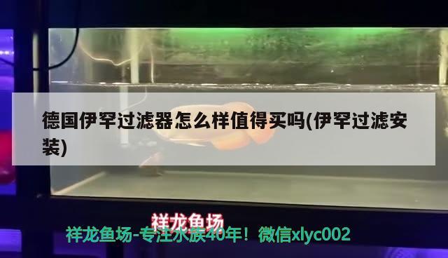 德國伊罕過濾器怎么樣值得買嗎(伊罕過濾安裝) 伊罕水族 第2張