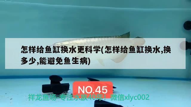 怎樣給魚缸換水更科學(xué)(怎樣給魚缸換水,換多少,能避免魚生病)