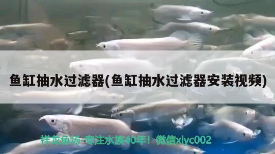 魚缸抽水過濾器(魚缸抽水過濾器安裝視頻)