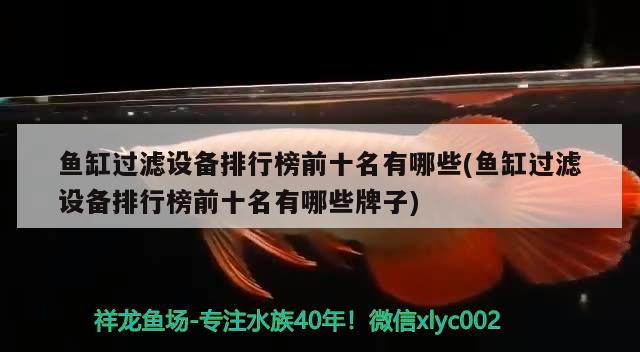 魚缸過濾設備排行榜前十名有哪些(魚缸過濾設備排行榜前十名有哪些牌子) 過濾設備