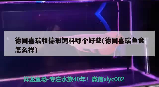 德國喜瑞和德彩飼料哪個好些(德國喜瑞魚食怎么樣) 2024第28屆中國國際寵物水族展覽會CIPS（長城寵物展2024 CIPS）