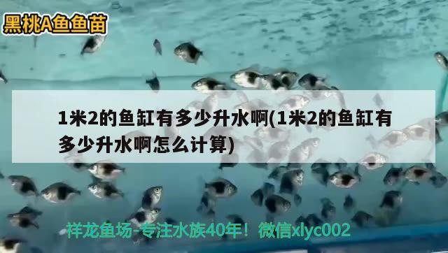 1米2的魚缸有多少升水啊(1米2的魚缸有多少升水啊怎么計(jì)算) 黃金眼鏡蛇雷龍魚