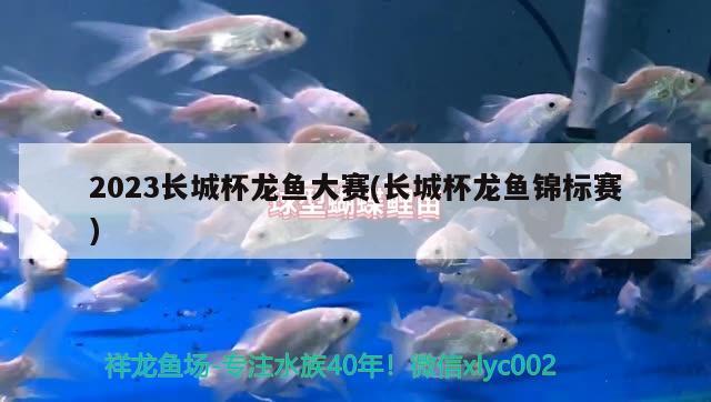 2023長城杯龍魚大賽(長城杯龍魚錦標賽)