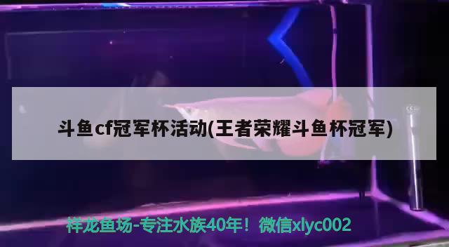 斗魚cf冠軍杯活動(dòng)(王者榮耀斗魚杯冠軍) 2025第29屆中國(guó)國(guó)際寵物水族展覽會(huì)CIPS（長(zhǎng)城寵物展2025 CIPS）