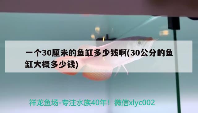 一個30厘米的魚缸多少錢啊(30公分的魚缸大概多少錢)