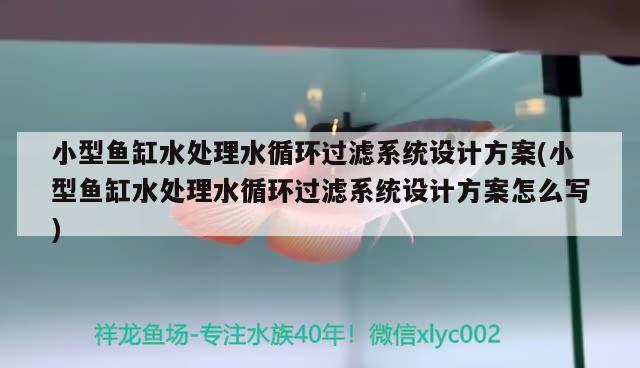 小型魚(yú)缸水處理水循環(huán)過(guò)濾系統(tǒng)設(shè)計(jì)方案(小型魚(yú)缸水處理水循環(huán)過(guò)濾系統(tǒng)設(shè)計(jì)方案怎么寫(xiě)) 泰國(guó)虎魚(yú)（泰虎）