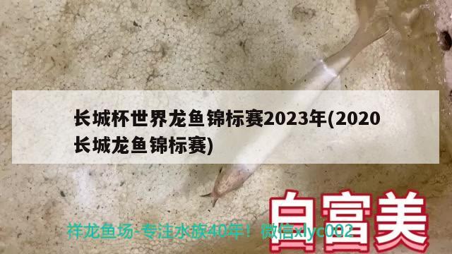 長城杯世界龍魚錦標(biāo)賽2023年(2020長城龍魚錦標(biāo)賽)