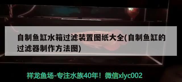 自制魚(yú)缸水箱過(guò)濾裝置圖紙大全(自制魚(yú)缸的過(guò)濾器制作方法圖)