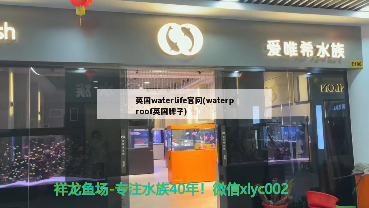 英國waterlife官網(wǎng)(waterproof英國牌子) 2024第28屆中國國際寵物水族展覽會CIPS（長城寵物展2024 CIPS）