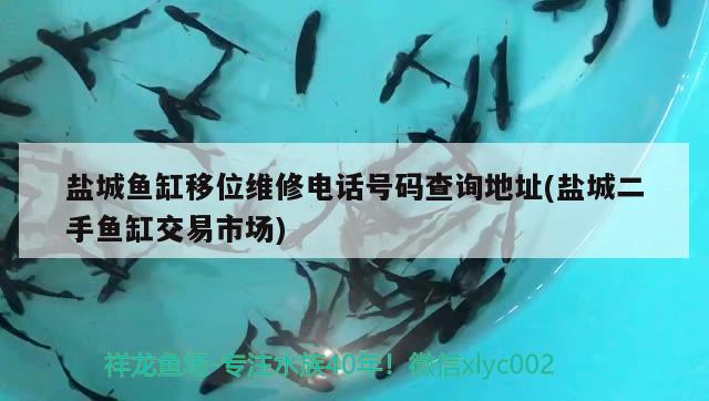 鹽城魚缸移位維修電話號碼查詢地址(鹽城二手魚缸交易市場)