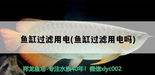 魚缸過濾用電(魚缸過濾用電嗎) 魚缸水泵