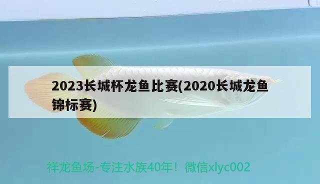 2023長(zhǎng)城杯龍魚(yú)比賽(2020長(zhǎng)城龍魚(yú)錦標(biāo)賽) 2024第28屆中國(guó)國(guó)際寵物水族展覽會(huì)CIPS（長(zhǎng)城寵物展2024 CIPS）