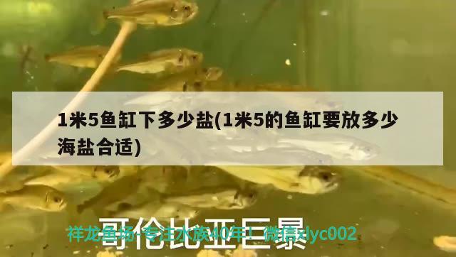 1米5魚(yú)缸下多少鹽(1米5的魚(yú)缸要放多少海鹽合適)