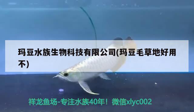 瑪豆水族生物科技有限公司(瑪豆毛草地好用不) 2024第28屆中國國際寵物水族展覽會CIPS（長城寵物展2024 CIPS）