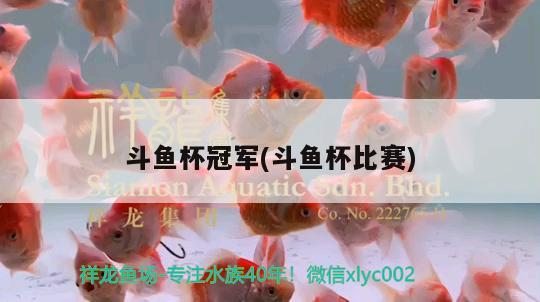 斗魚杯冠軍(斗魚杯比賽) 2024第28屆中國國際寵物水族展覽會(huì)CIPS（長(zhǎng)城寵物展2024 CIPS）