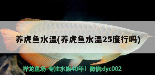 養(yǎng)虎魚水溫(養(yǎng)虎魚水溫25度行嗎)