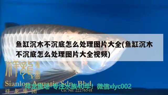 魚缸沉木不沉底怎么處理圖片大全(魚缸沉木不沉底怎么處理圖片大全視頻)