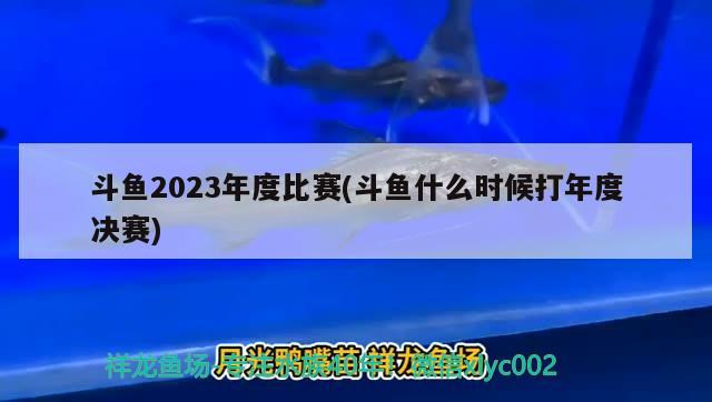 斗魚2023年度比賽(斗魚什么時候打年度決賽) 2024第28屆中國國際寵物水族展覽會CIPS（長城寵物展2024 CIPS）