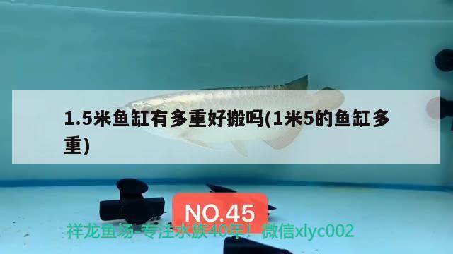 1.5米魚(yú)缸有多重好搬嗎(1米5的魚(yú)缸多重) 鸚鵡魚(yú)