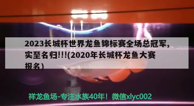 2023長(zhǎng)城杯世界龍魚(yú)錦標(biāo)賽全場(chǎng)總冠軍,實(shí)至名歸!!!(2020年長(zhǎng)城杯龍魚(yú)大賽報(bào)名)