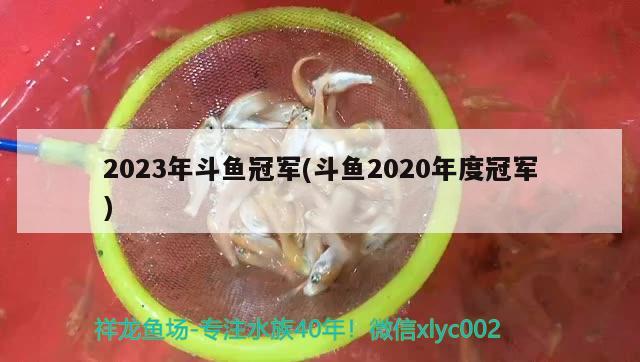 2023年斗魚冠軍(斗魚2020年度冠軍) 2024第28屆中國國際寵物水族展覽會CIPS（長城寵物展2024 CIPS）