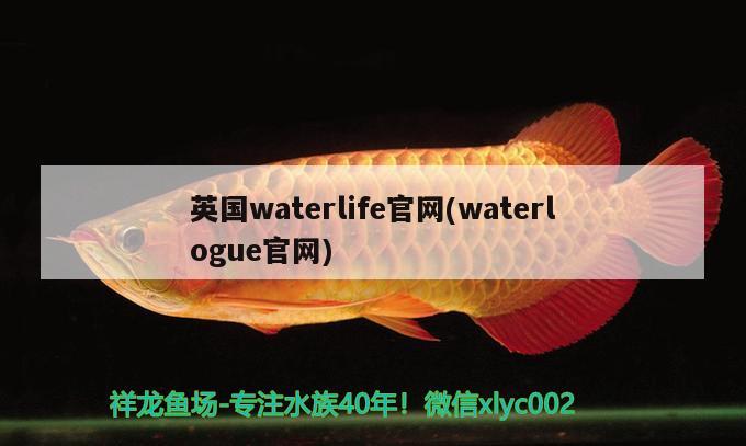 英國(guó)waterlife官網(wǎng)(waterlogue官網(wǎng))