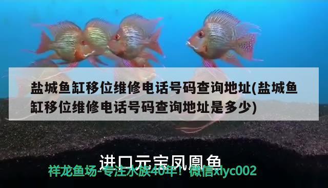 鹽城魚缸移位維修電話號碼查詢地址(鹽城魚缸移位維修電話號碼查詢地址是多少)