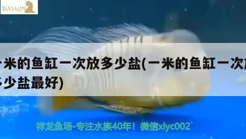 一米的魚缸一次放多少鹽(一米的魚缸一次放多少鹽最好)