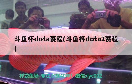 斗魚杯dota賽程(斗魚杯dota2賽程) 2024第28屆中國國際寵物水族展覽會(huì)CIPS（長城寵物展2024 CIPS）