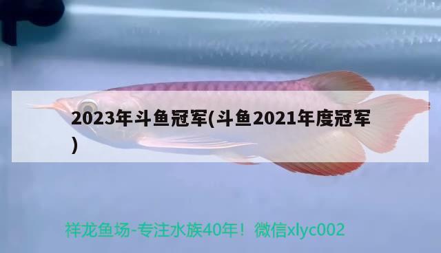 2023年斗魚冠軍(斗魚2021年度冠軍) 2024第28屆中國國際寵物水族展覽會CIPS（長城寵物展2024 CIPS） 第2張