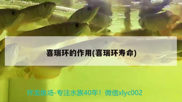 喜瑞環(huán)的作用(喜瑞環(huán)壽命) 2024第28屆中國國際寵物水族展覽會CIPS（長城寵物展2024 CIPS）