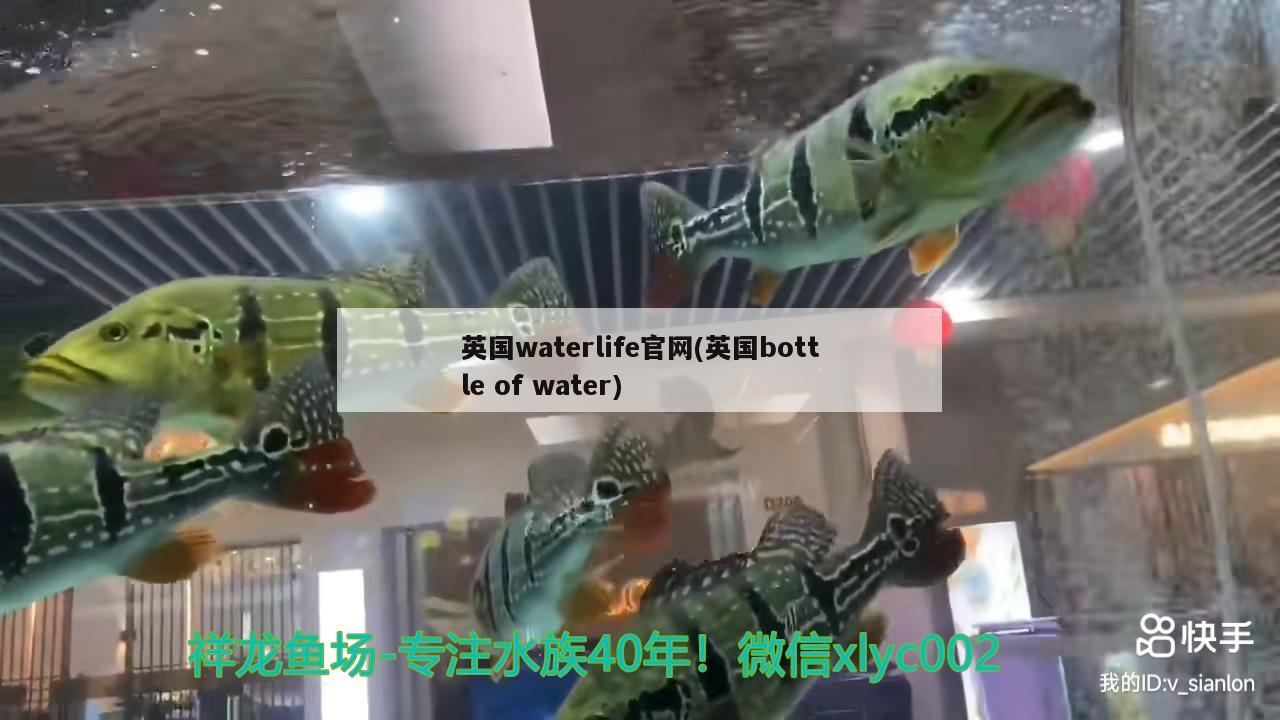 英國waterlife官網(wǎng)(英國bottleofwater) 2024第28屆中國國際寵物水族展覽會CIPS（長城寵物展2024 CIPS）