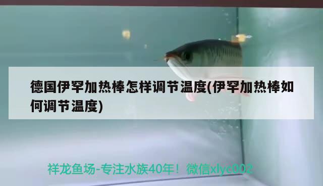 德國(guó)伊罕加熱棒怎樣調(diào)節(jié)溫度(伊罕加熱棒如何調(diào)節(jié)溫度) 伊罕水族