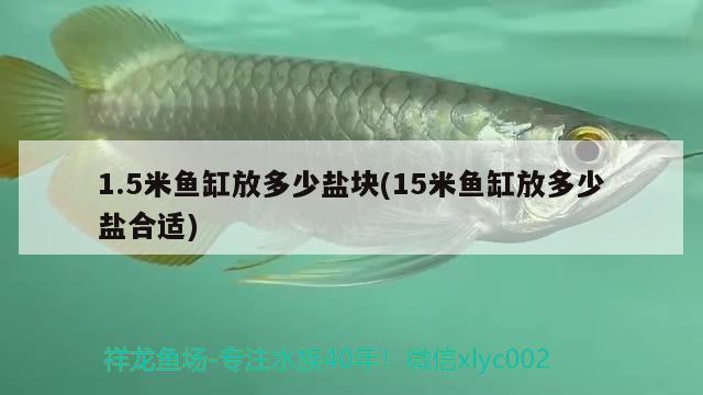 1.5米魚缸放多少鹽塊(15米魚缸放多少鹽合適)