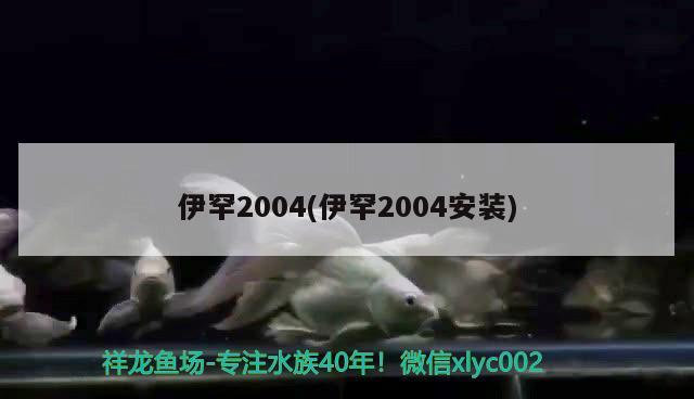 伊罕2004(伊罕2004安裝)